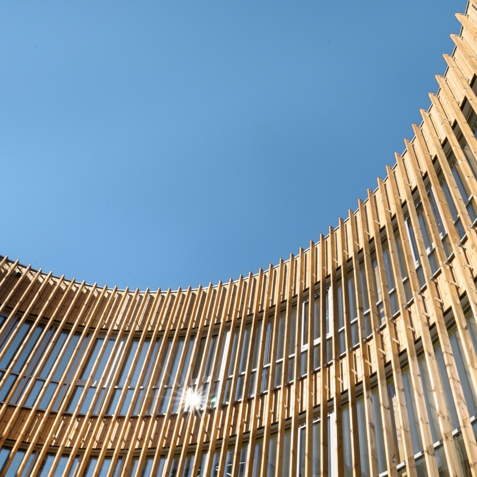 Center Krožnega Gospodarstva Zarica - gradnja okrogle lesene stavbe