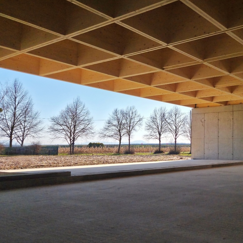 CBD - pisarna s posebnim lesenim stropom