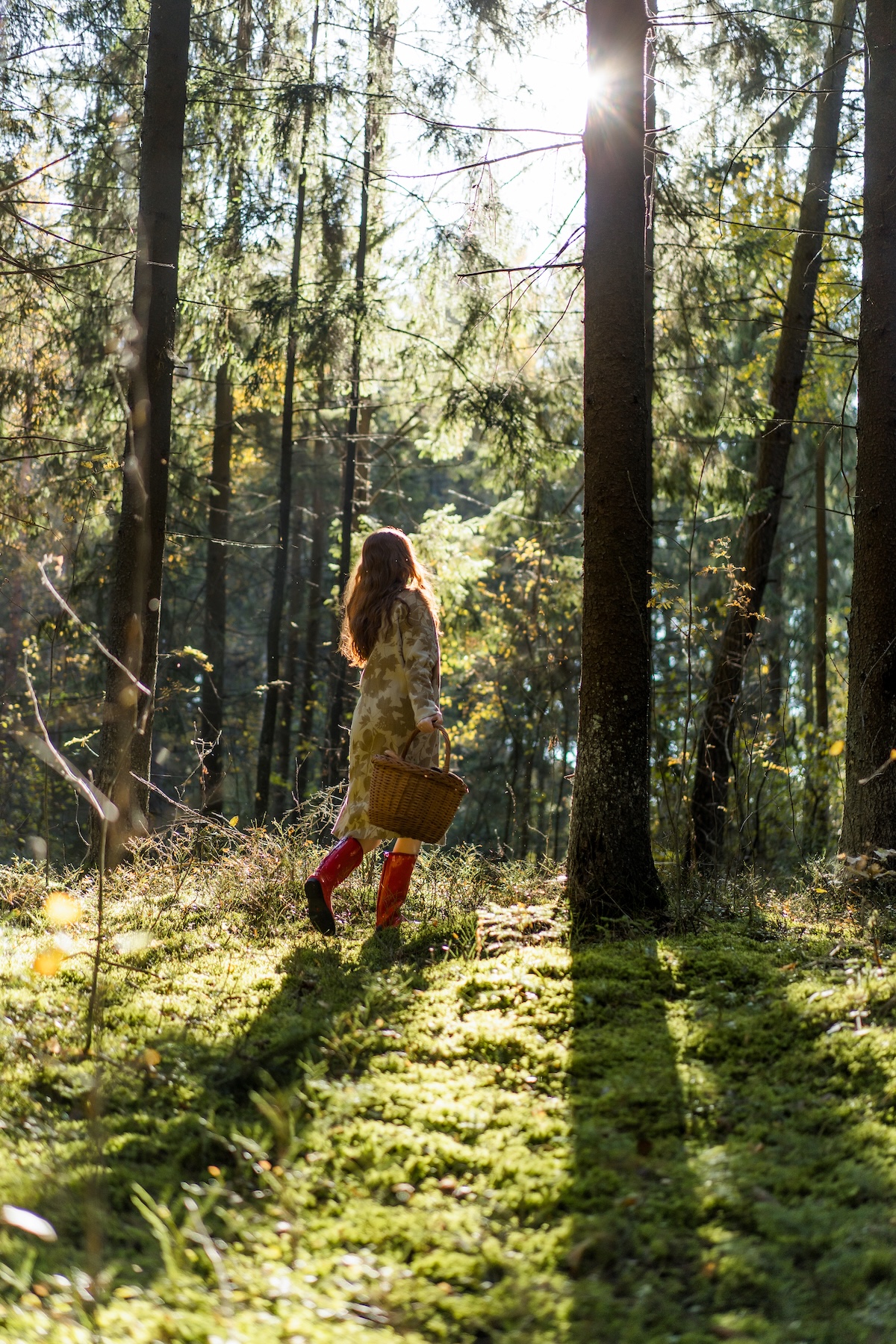 Opazovanje dreves med sprehodom v gozdu - Slowoodlife